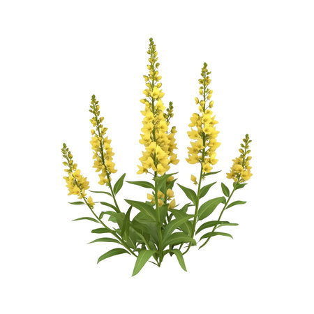 Digitally created image of a group of bright yellow flowers with lush green leaves, displayed against a black background. The flowers appear detailed and lifelike, with a focus on the individual blooms and their arrangement.  The image is suitable for use in contexts related to botany, gardening, or design.の素材