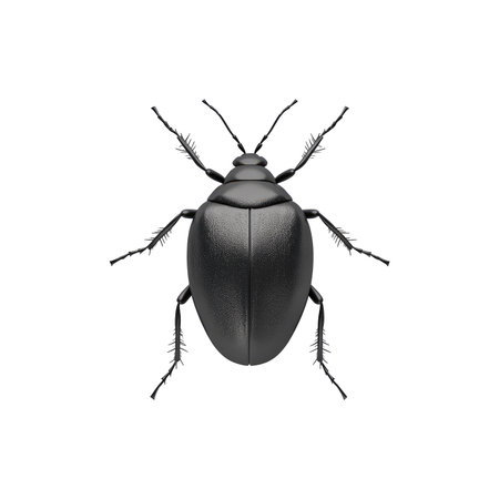 Highly detailed, realistic illustration of a beetle, presented against a pure black backdrop. The beetle is rendered with a meticulous depiction of its textured exoskeleton and intricate legs. The lighting emphasizes the three-dimensional form, showcasing all details of the insect's structure in sharp focus.の素材