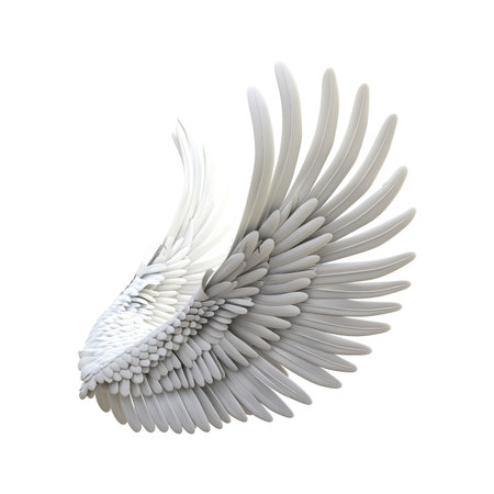 Detailed image of a white angel's wing, showcasing the intricate feather patterns and structure. The wing is depicted in a three-dimensional style, with a high degree of detail and realism, against a pure white background.の素材