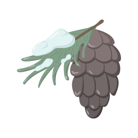 Vector illustration of a pine cone with snow and evergreen branch. Winter holiday design element for Christmas cards, decor, stickers, wrapping paper, and seasonal printsのイラスト素材