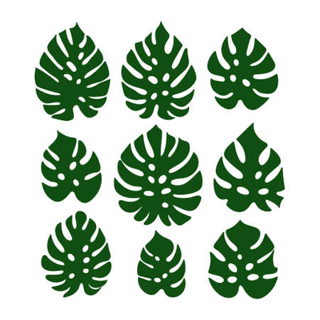 tropical leaf silhouette set. Hand drawn plant leaf. Tropical forest leaves. Set of tropical leaf illustrations. Green leaf set isolated on white background.のイラスト素材