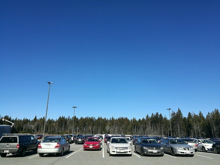 Cars in a parking lot with pine trees and blue sky background