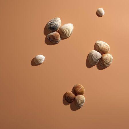 Sea shells on a beige background. Place for text. Square.
