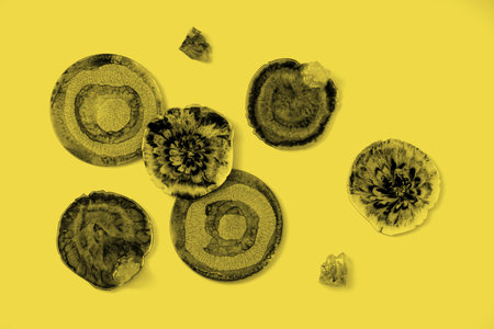 Abstract background with picturesque circles. Abstract hand painted yellow and grey with gold...