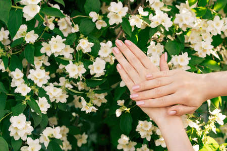 Female hands with a gentle natural manicure.