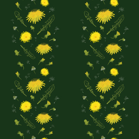 Natural seamless pattern of yellow dandelion floral stripes on classic green background.の写真素材