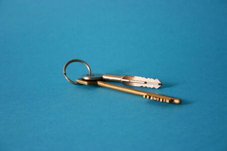 Two various keys for locks