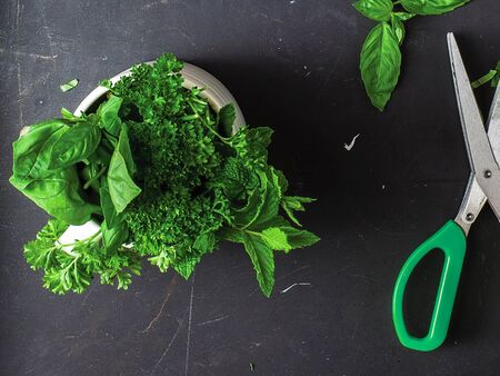 Top view of fresh organic kitchen greens with a pair of green color scissors on a dark chalkboard back ground. Episode of kitchen still life. Closeup of basil, mint and parsley leaves.の写真素材