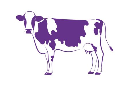 White hand drawn standing cow with violet spots. Isolated vector of farm animal.のイラスト素材