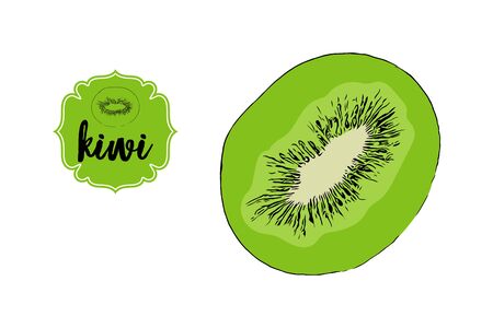 Cartoon drawn kiwi cut isolated on white. Green retro store label badge with text. Business fruit vintage sticker. Tropical delicious half of kiwi fruit vector illustration for web, print.のイラスト素材