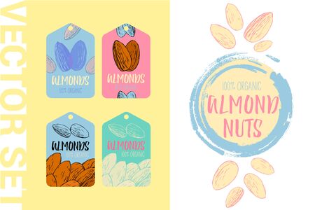 Vector Almond nut design element. Hand drawn colorful labels. Ready to use nut illustrations with brush stroke elements. 100% organic almonds tag set. Creative nut stickers ready for print and web.のイラスト素材