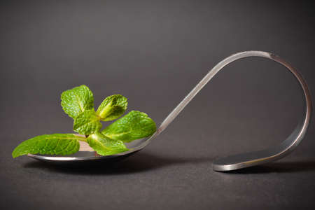Fresh mint herb brunch served on metal stainless steel spoon on dark background. Single food ingredient. Peppermint leaves in serving spoon. Copy space imageの写真素材