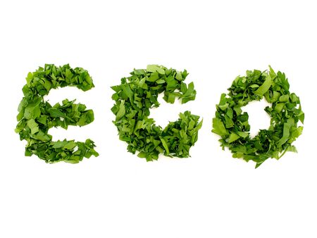 Eco text neatly laid out of parsley leaves. Fragrant seasoning for veggie and meat dishes. Natural food supplement and eco-friendly vitamin-rich productの写真素材