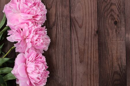delicate pink blooming peonies on a rough dark wooden background. Brown old wooden planks texture. country rustic style. blank for postcards. Text area, copy spaceの写真素材
