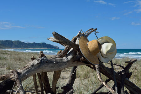 Hats hanging on driftwood on a  New Zealand beachの写真素材