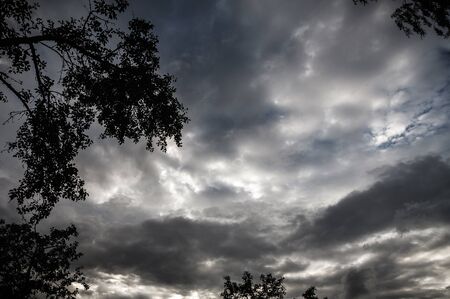 Dark thunderclouds over dark trees in summerの写真素材