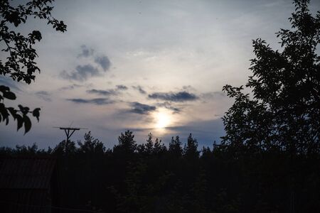 Sunset over the dark wood in countrysideの写真素材