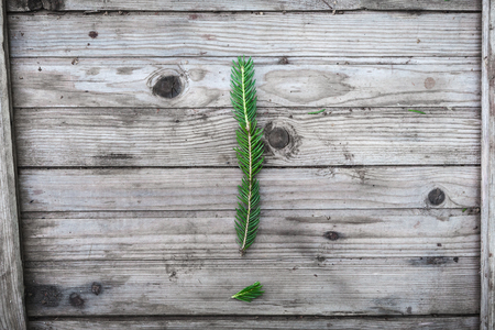 Letter from fir tree branches on aged wooden boardsの写真素材