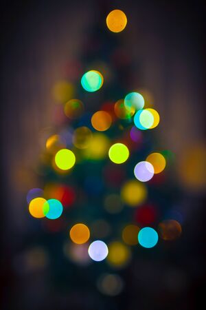 New Year Background with defocused lights of a fir treeの写真素材