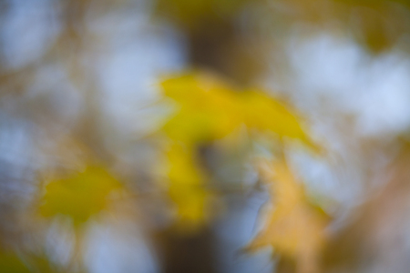 Blurred background with yellow autumn leaves. Beautiful bokeh.  Helios lens.の写真素材