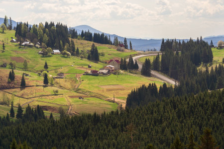 Village on the green hills and the road going in the Carpathian mountainsの写真素材