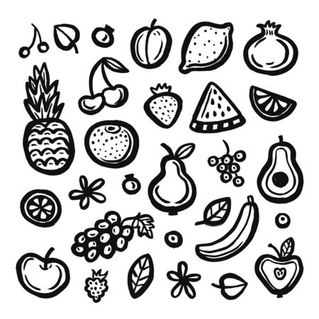 Hand drawn ink fruits and berries illustration.Watermelon, pomegranate, apple, cherry, blueberry, strawberry. Brush doodles. Hand drawn design elements. Vector illustration for menu design, packaging, cooking book.のイラスト素材