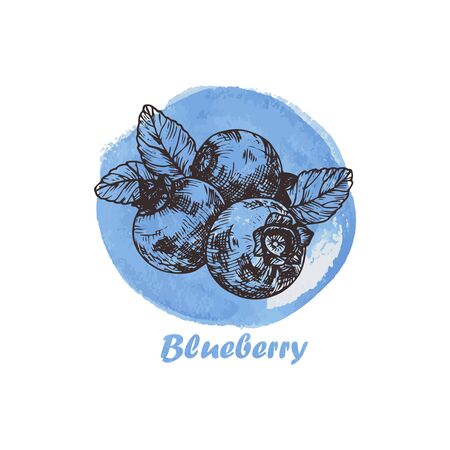 Hand drawn illustration with blueberry. Vintage watercolor background. Poster template frame with hand drawn berry for menu design. Healthy food concept.のイラスト素材