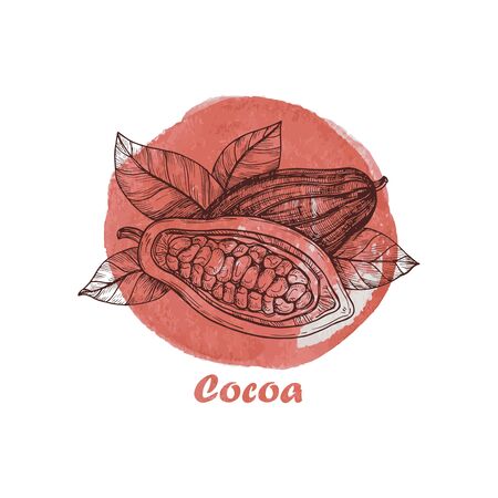 Hand drawn illustration with cocoa beans. Vintage watercolor background. Poster template frame with hand drawn cocoa for menu design. Healthy food concept.のイラスト素材