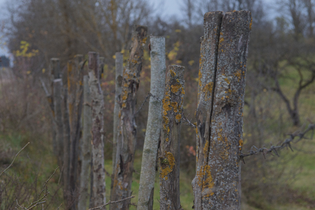 closeup high old wooden fence of logs in form of palisade vanish into space in countryland.の写真素材