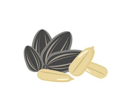 Pile of sunflower seeds isolated on white icon vector illustration.のイラスト素材