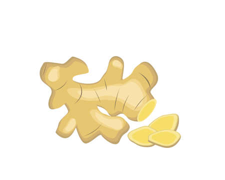 Fresh ginger with cut slice isolated on white background. Icon vector illustration.のイラスト素材