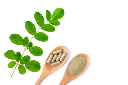 Moringa Oleifera ( Horse radish or Drumstick ) with green leaves and capsules isolated on white background. Herbal medicine plant conceptual. Top view. Flat lay.の写真素材