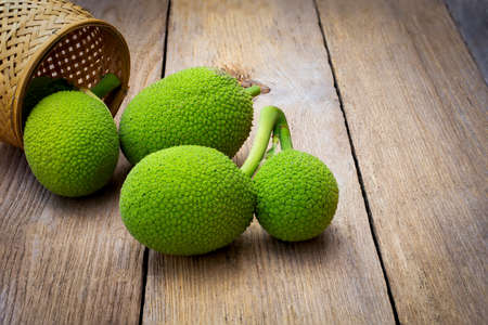 Breadfruit (known as bread nut,  Artocarpus altillis) with green leaf  isolated on old wooden background. Properties as Sake,prevention of memory loss or Alzheimer. Medical plant concept.の写真素材