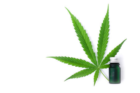 Bottle of cannabis essential oil, CBD oil extract with canabis green leaf isolated on white background. Medical marijuana , herbal medicine plant and health care concept. Space for text.の写真素材