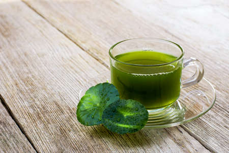 Closeup cup glass of Gotu Kola tea with green leaves ( Asiatic pennywort, Indian pennywort, Centella asiatica ) isolated on wood table background. Tropical medical herbal plant, healthy drink conceptの写真素材