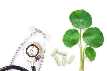 Gotu Kola leaf ( Asiatic pennywort, , Centella asiatica ) and gotu kola powder capsule with medical isolated on white background. Top view. Flat lay.の写真素材