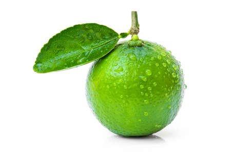 Closeup fresh organic lime fruit with water drops and green leaf isolated on white background.の写真素材