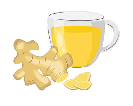 Closeup hot ginger tea in glass cup with fresh organic ginger root isolated on white background . Vector illustration.のイラスト素材