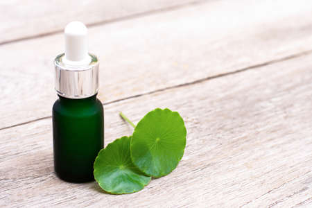 Gotu Kola leaves ( Asiatic pennywort, Indian pennywort, Centella asiatica ) and bottle of essential oil extract isolated on old wood table background. Tropical medical herbal plant concept.の写真素材