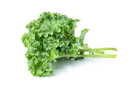 Kale leaf vegetable isolated on white background.の写真素材