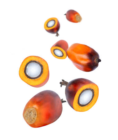 Oil palm fruit with half slice falling down isolated on white background.