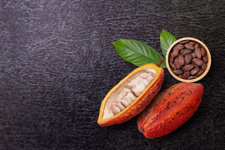Red cocoa fruit with cut in half sliced and green leaf with dried cocoa beans in wooden bowl isolated on dark marble background. Top view. Flat lay. Copy space.の写真素材