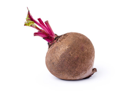 Beetroot (beet root) isolated on white background.の写真素材