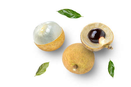 Fresh longan fruit with leaves isolated on white background. Top view.