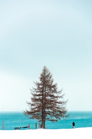 A couple standing near a blue lake in winter snowfallの写真素材