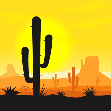 Cactus plants in desertのイラスト素材