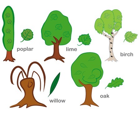 Deciduous Treesのイラスト素材