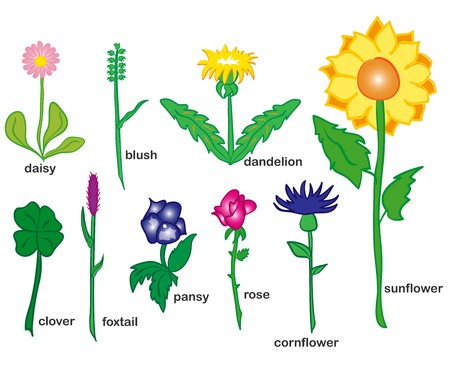 Yellow Pink and Blue Flowersのイラスト素材