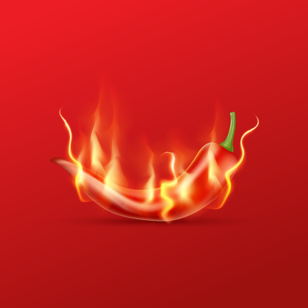 Red hot chili pepper with flame on a red background.のイラスト素材