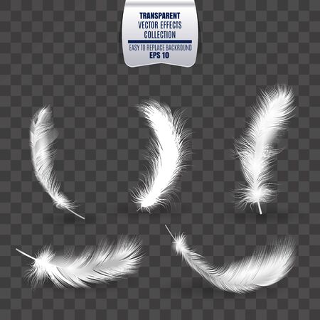 Vector transparent set of isolated falling white fluffy twirl feathers. Realistic style vector illustration のイラスト素材